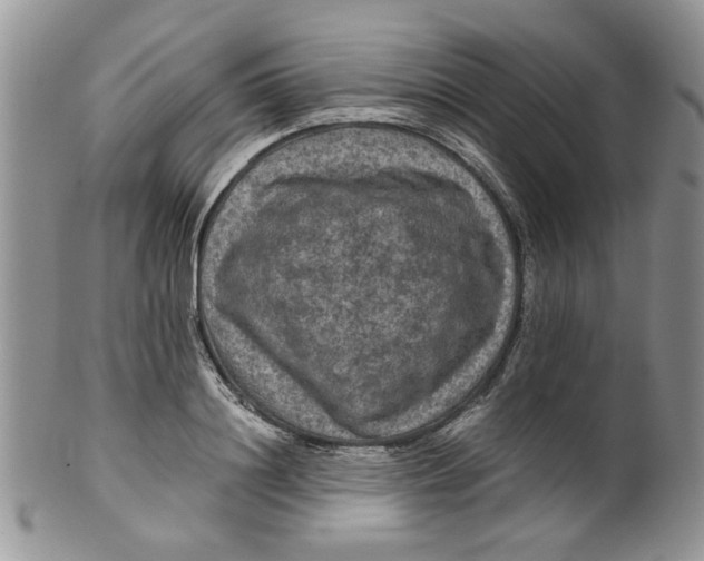 X0000099490844200806051057