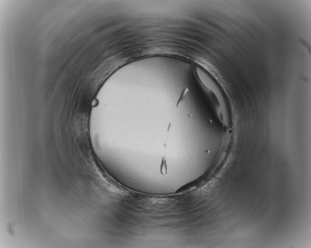 X0000099490849200806051057