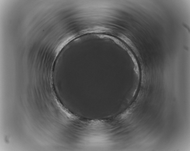 X0000099490850200806051057