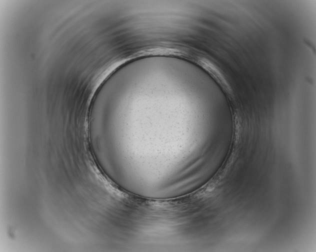 X0000099490852200806051057