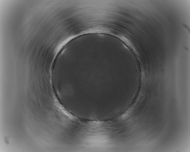 X0000099490854200806051057