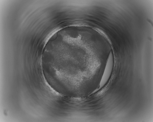 X0000099490855200806051057