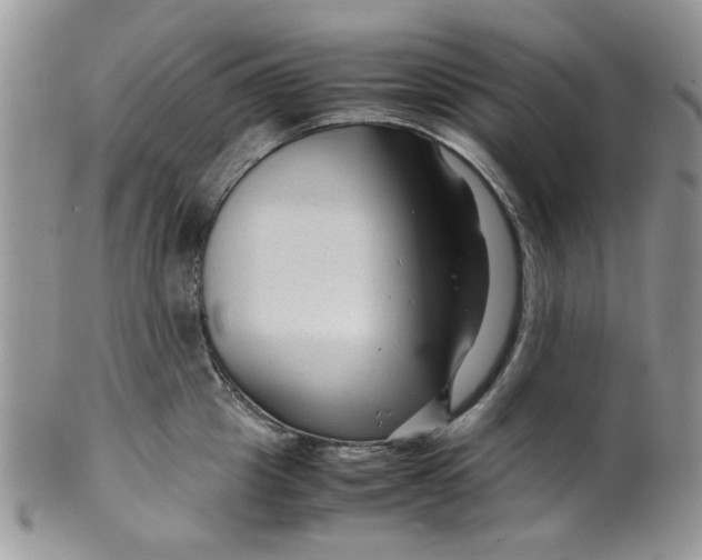 X0000099490857200806051057