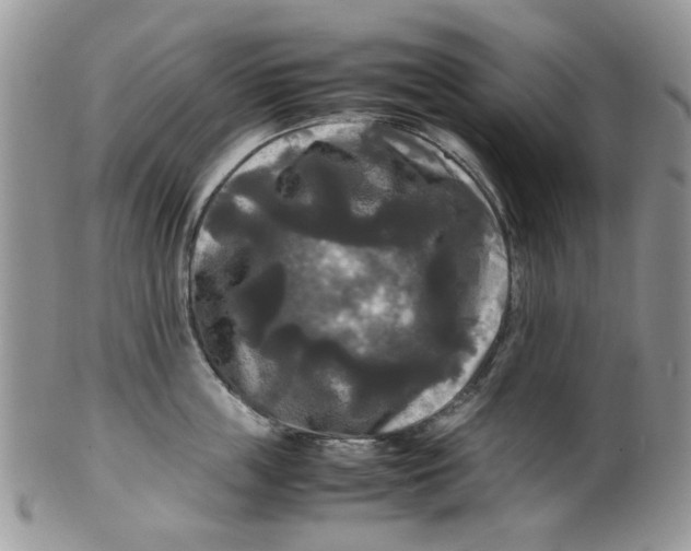 X0000099490859200806051057