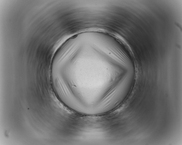 X0000099490860200806051057