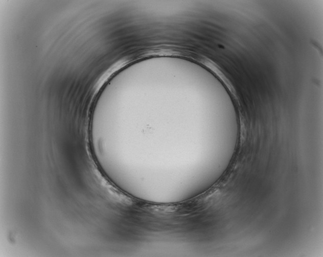 X0000099490861200806051057