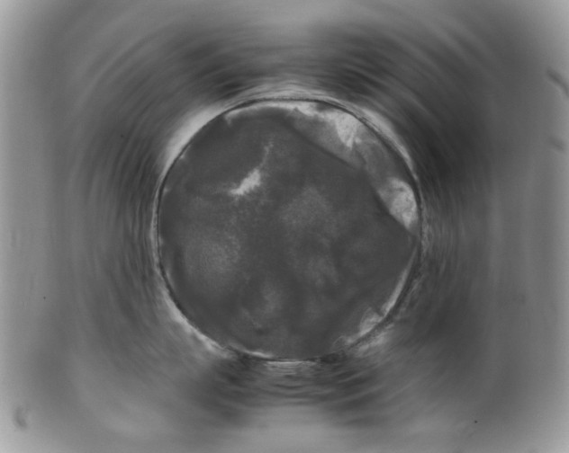 X0000099490863200806051057