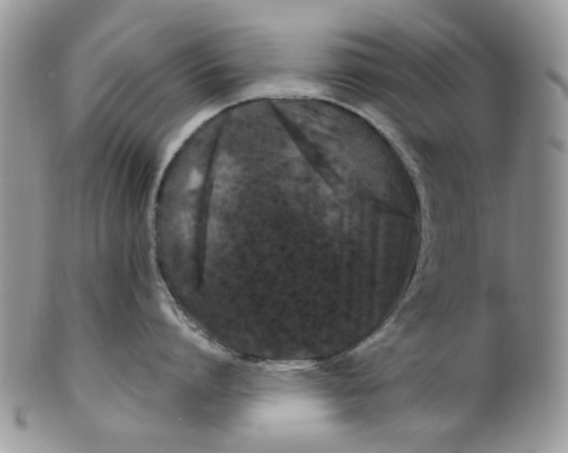 X0000099490864200806051057