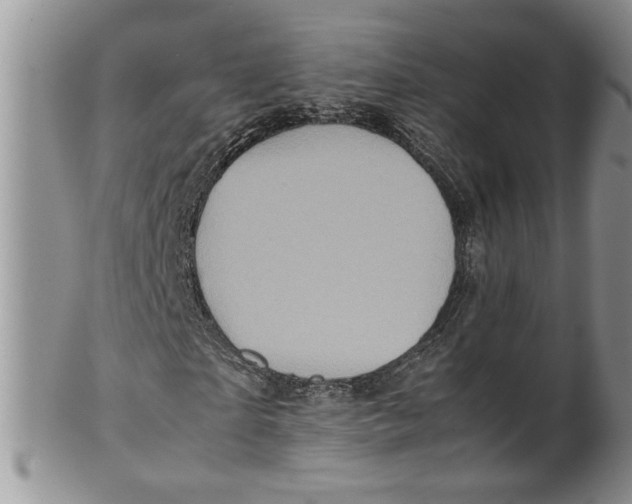 X0000099490865200806051056