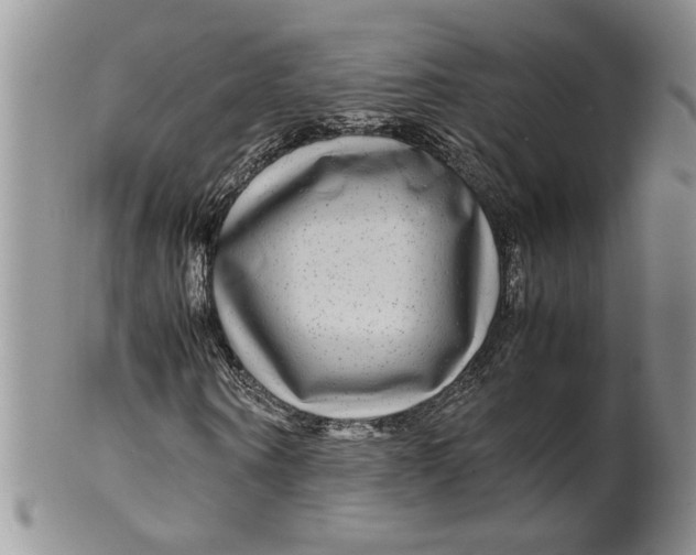 X0000099490866200806051056