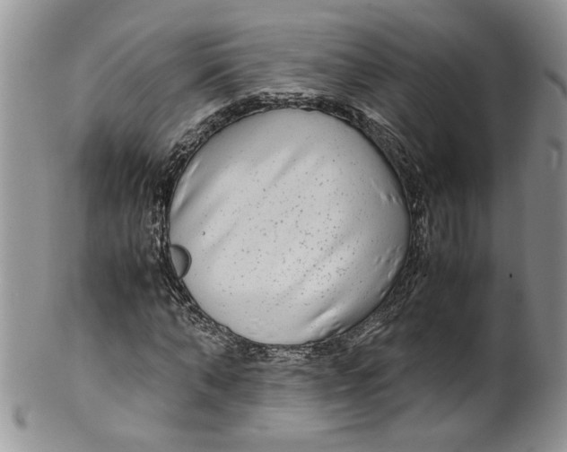 X0000099490870200806051056