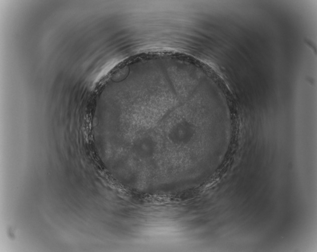 X0000099490871200806051056