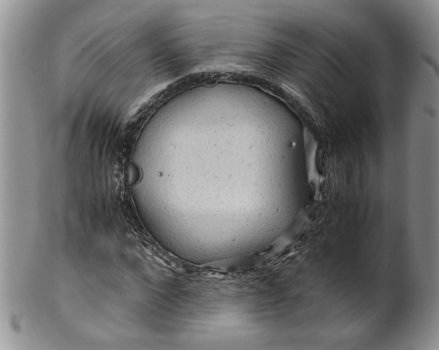 X0000099490872200806051056