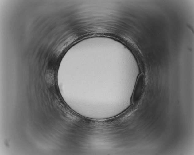 X0000099490873200806051056