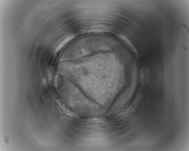 X0000099490874200806051056