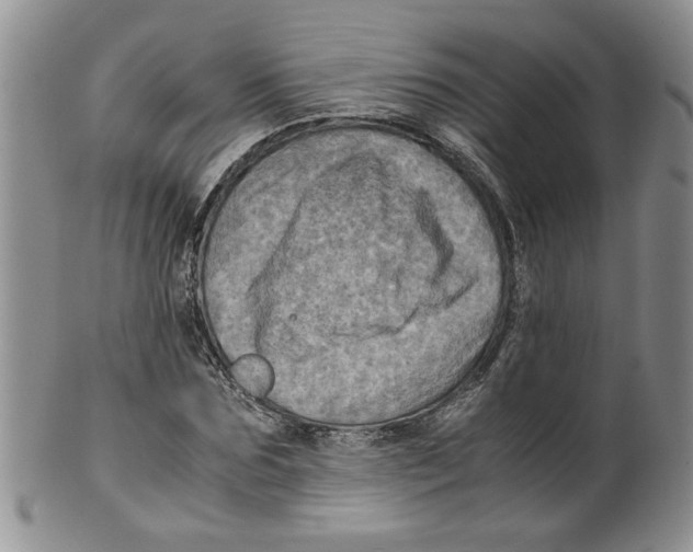 X0000099490875200806051056