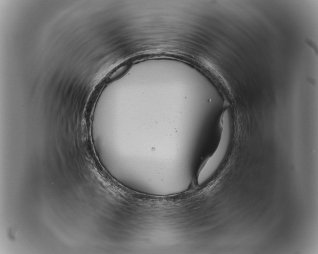 X0000099490876200806051056