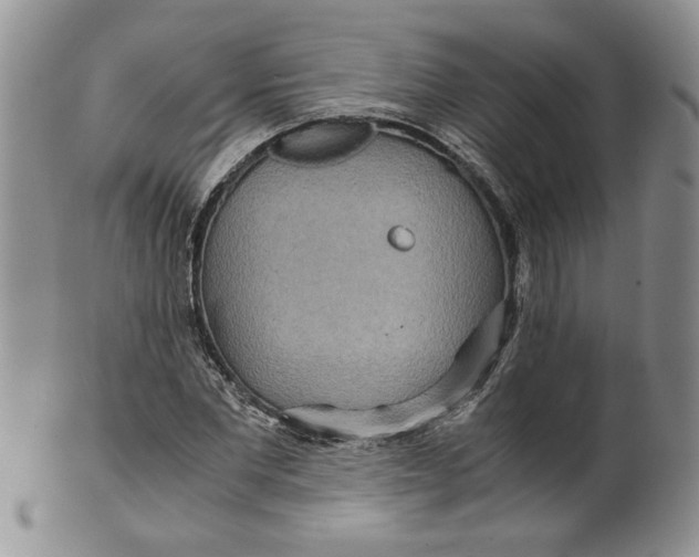 X0000099490877200806051056