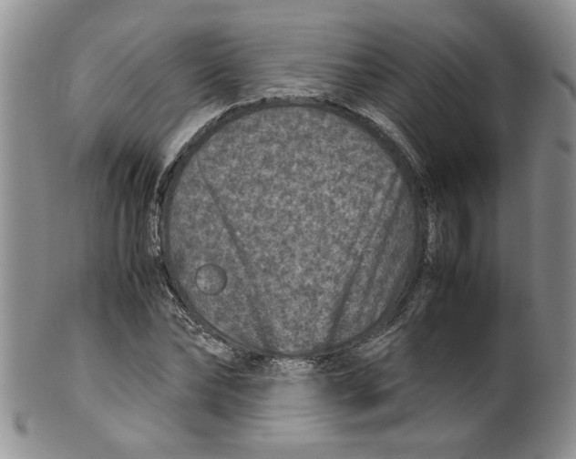 X0000099490878200806051056