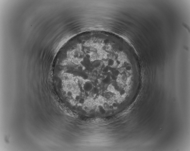 X0000099490879200806051056