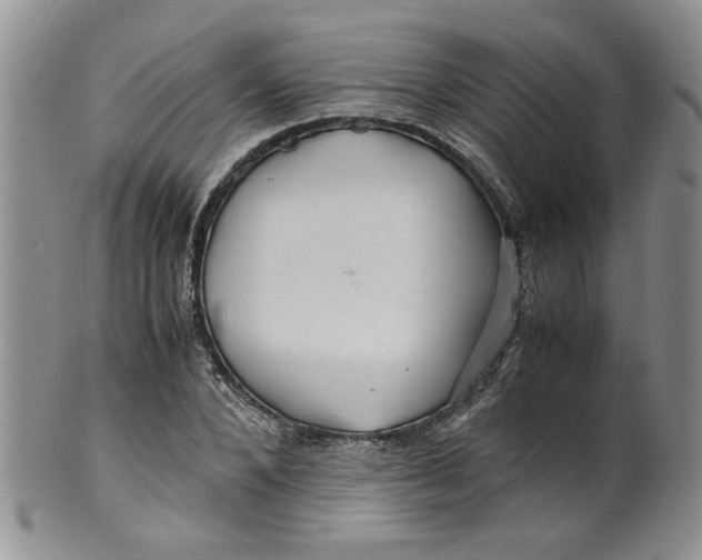 X0000099490880200806051056