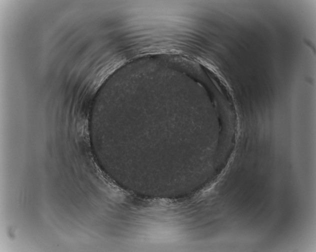 X0000099490881200806051056