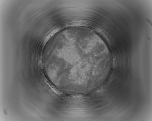 X0000099490882200806051056