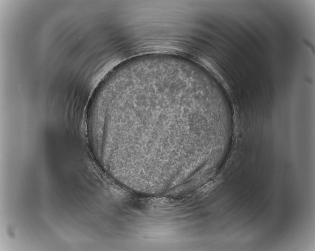 X0000099490883200806051056