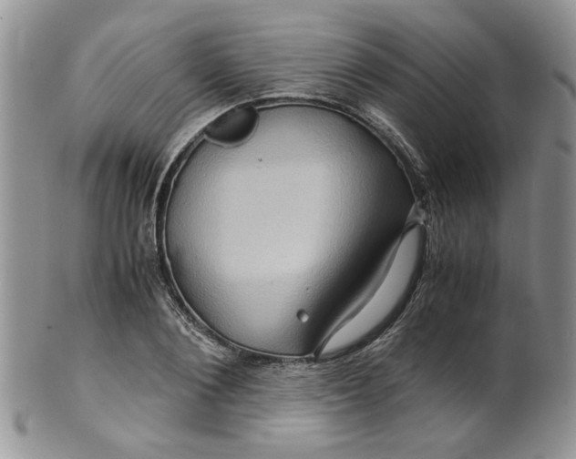 X0000099490884200806051056