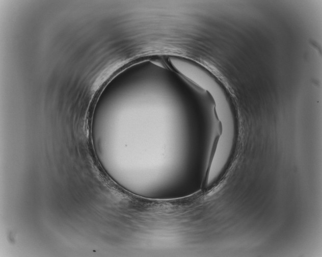 X0000099490885200806051056