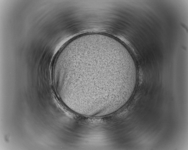 X0000099490886200806051056