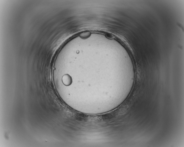 X0000099490887200806051056