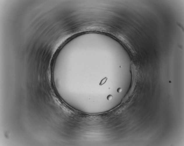 X0000099490888200806051056