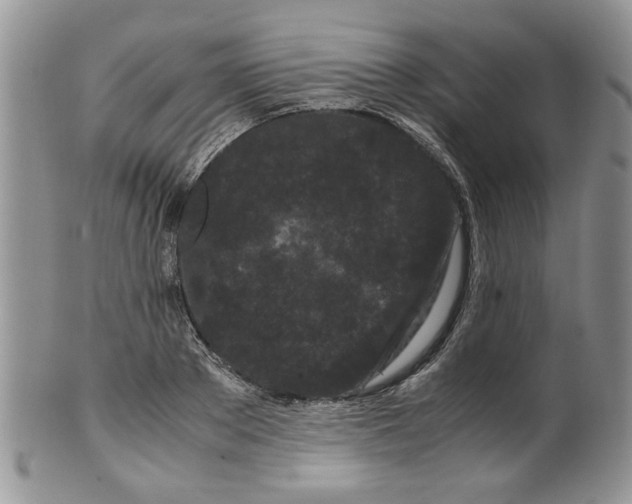 X0000099490889200806051056