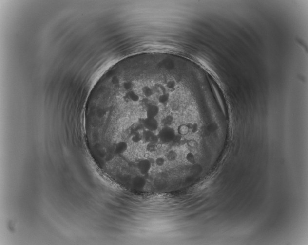 X0000099490891200806051056