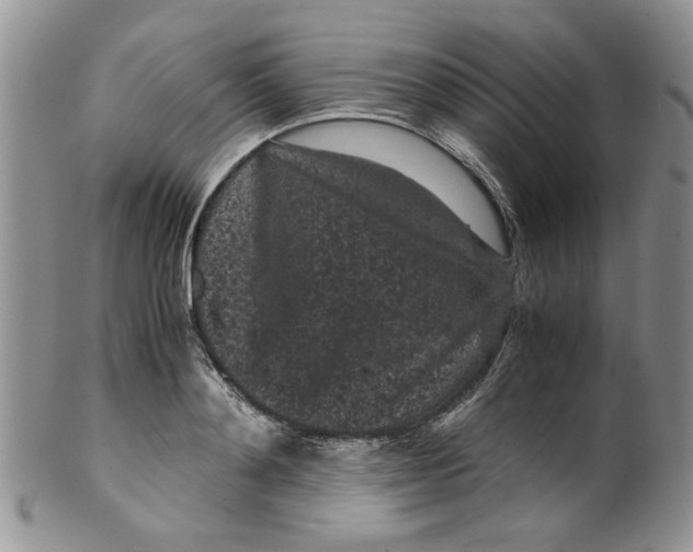 X0000099490892200806051056