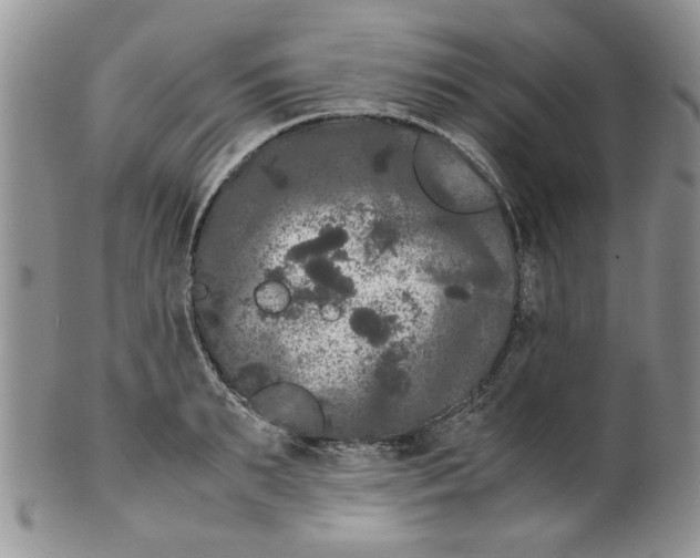 X0000099490895200806051056