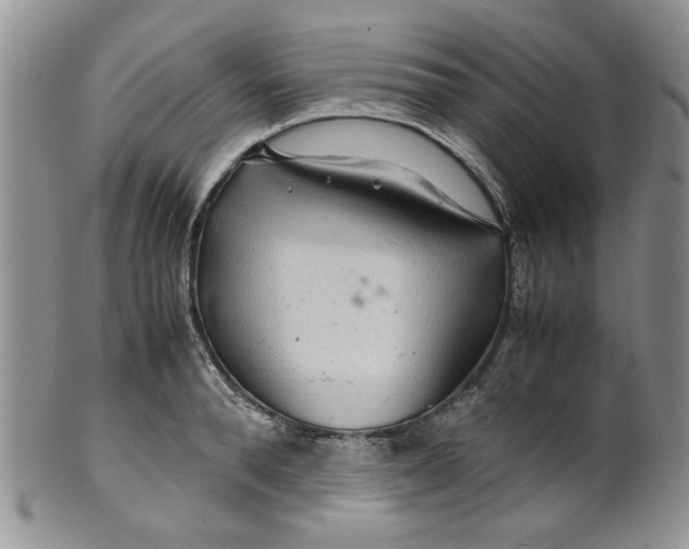 X0000099490896200806051056