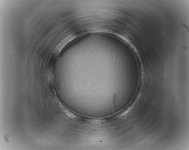 X0000099490897200806051056