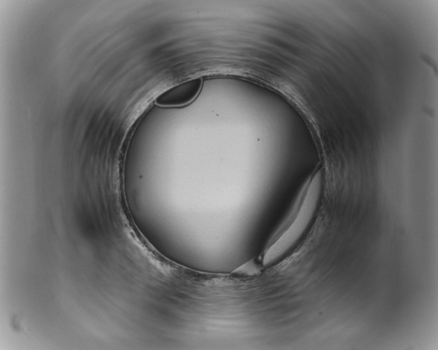 X0000099490898200806051056