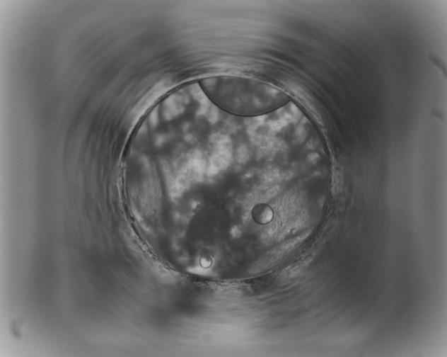 X0000099490899200806051056