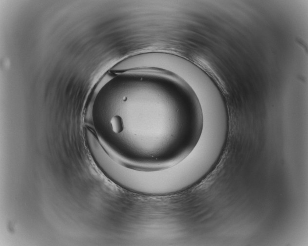 X0000099490900200806051056