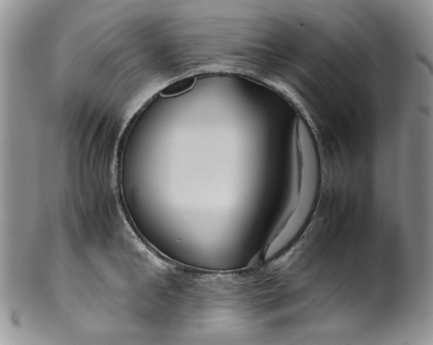 X0000099490902200806051056