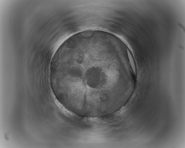 X0000099490903200806051056