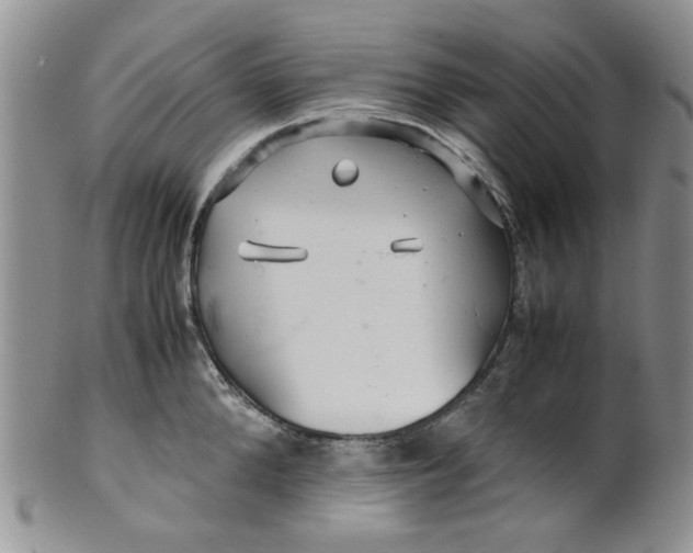 X0000099490904200806051056