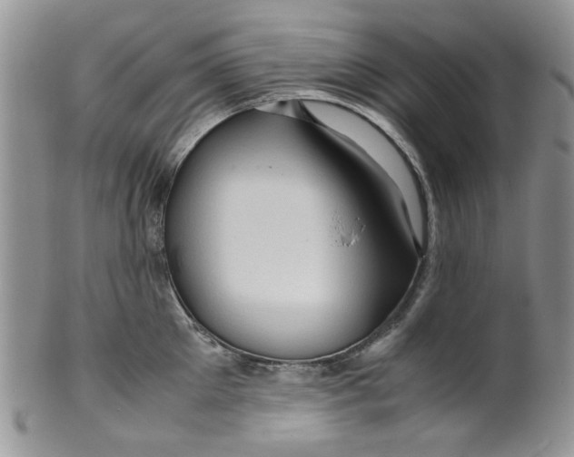 X0000099490905200806051056