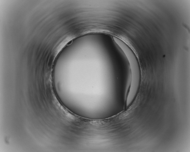 X0000099490906200806051056