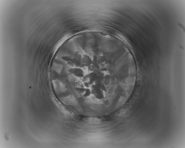 X0000099490907200806051056