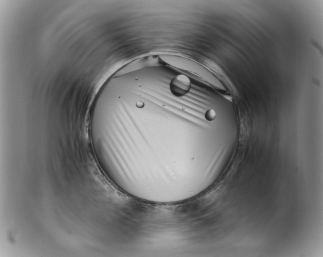 X0000099490908200806051056