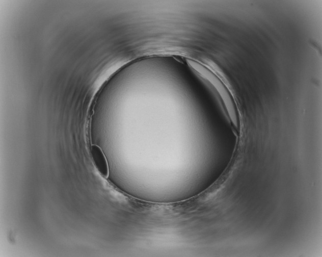 X0000099490909200806051056